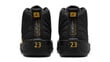 Air Jordan 12 Black Taxi CT8013-071