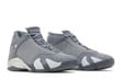 Air Jordan 14 SE Flint Grey FJ3460-012