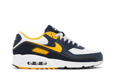 Air Max 90 'Dunk From Above' DC9845-101