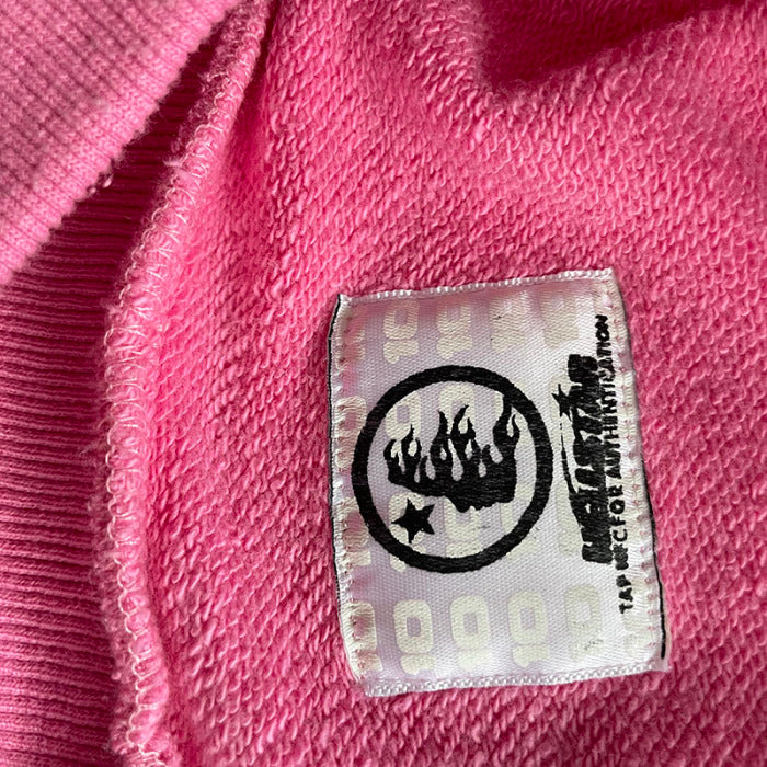 HELL$TAR STUDIOS BRAINWASHED HOODIE WITH BRAIN PINK